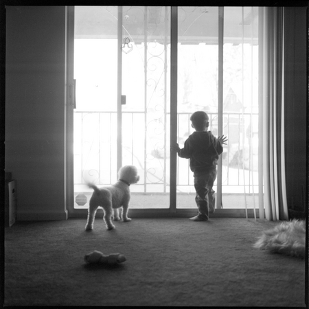 ANTICIPATION