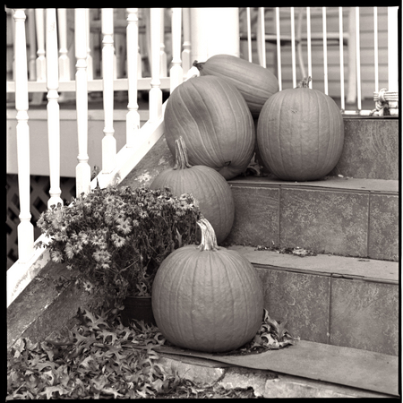 PUMPKINS